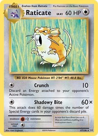 Raticate (67/108) - XY - Evolutions