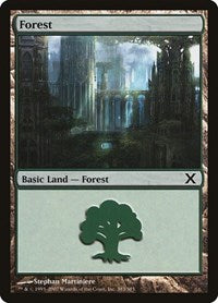 Forest 383 (383) - 10th Edition