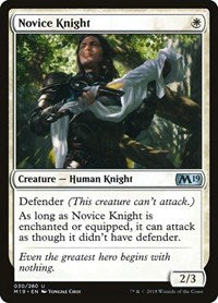 Novice Knight (30) - Core Set 2019