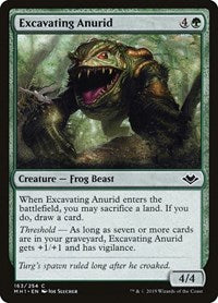 Excavating Anurid (163) - Modern Horizons