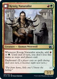 Kessig Naturalist (231) - Innistrad: Midnight Hunt