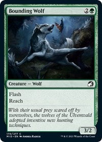 Bounding Wolf (170) - Innistrad: Midnight Hunt