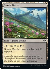 Sunlit Marsh (257) - Dominaria United