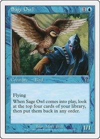 Sage Owl (96) - 7th Edition