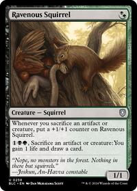Ravenous Squirrel (258) - Commander: Bloomburrow