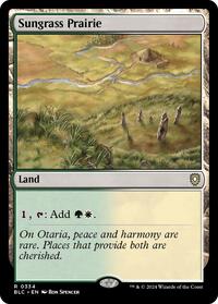 Sungrass Prairie (334) - Commander: Bloomburrow
