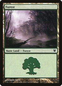 Forest 262 (262) - Innistrad
