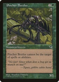 Pincher Beetles (244) - Tempest