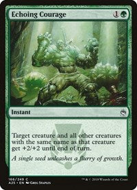 Echoing Courage (166) - Masters 25