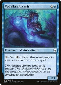 Vodalian Arcanist (73) - Dominaria