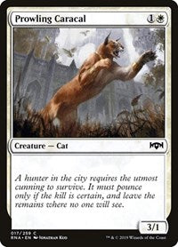 Prowling Caracal (17) - Ravnica Allegiance