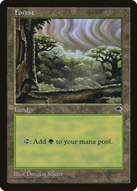 Forest Cloudy (349) - Tempest
