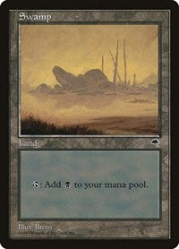 Swamp Boulder (341) - Tempest