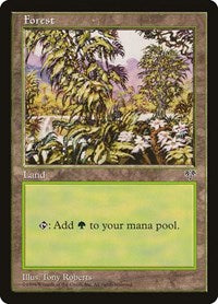 Forest White Flowers Right (349) - Mirage