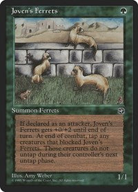 Jovens Ferrets (89) - Homelands