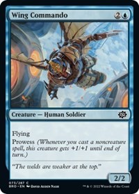 Wing Commando (73) - The Brothers' War