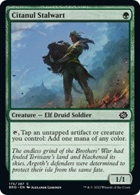 Citanul Stalwart (175) - The Brothers' War