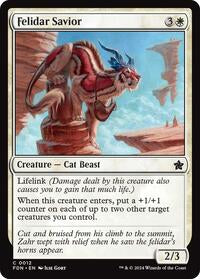 Felidar Savior (12) - Foundations