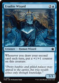 Erudite Wizard (37) - Foundations