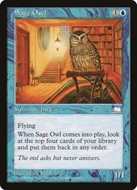 Sage Owl (52) - Weatherlight