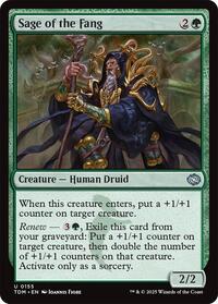 Sage of the Fang (155) - Tarkir: Dragonstorm