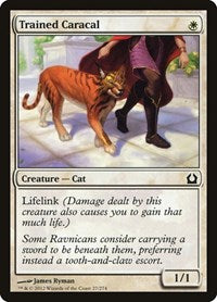 Trained Caracal (27) - Return to Ravnica